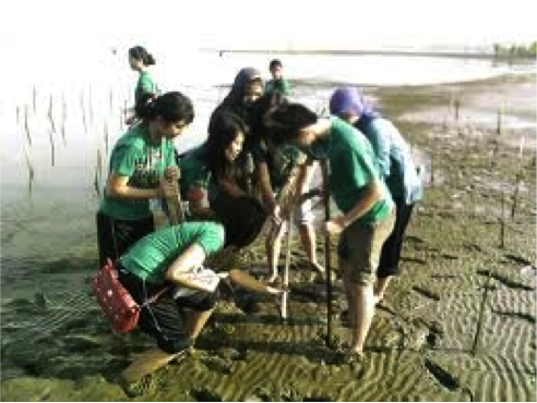 vn_mangrove-tree-planting.png