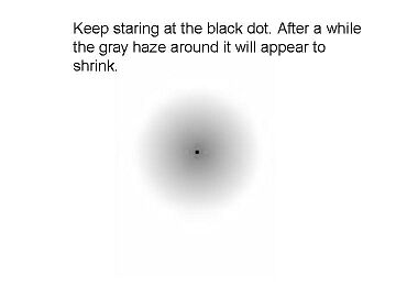 incredible-optical-illusions-black-dot-haze.jpg