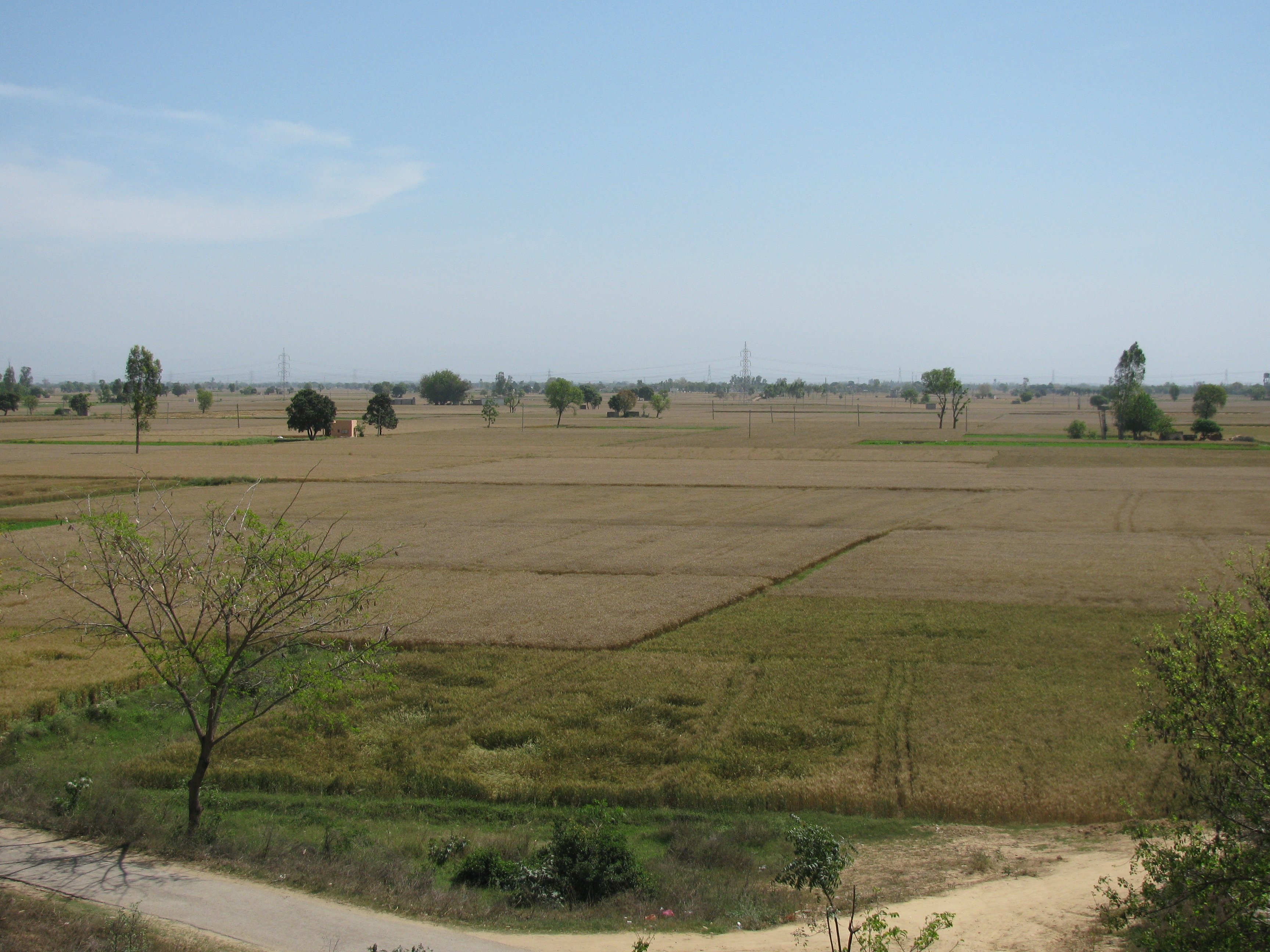 Typical_Punjabi_Landscape.JPG