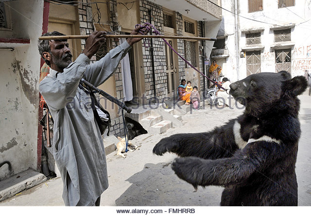 epa02431254-a-man-with-a-bear-performs-for-money-in-a-street-in-rawalpindi-fmhrrb.jpg