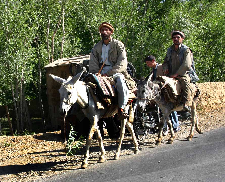 Men_on_donkeys,_Afghanistan.jpg