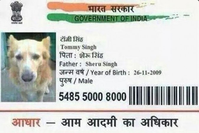 1435918273_aadhar-card-dog.jpg