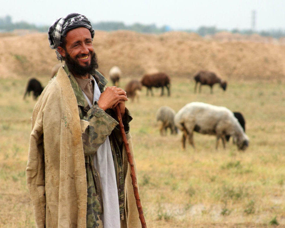 afghan_shepherd_by_ironpaw1.jpg