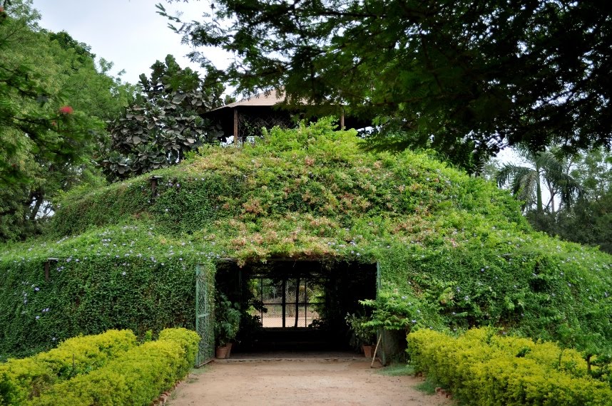 indroda-nature-park-gandhinagar.jpg