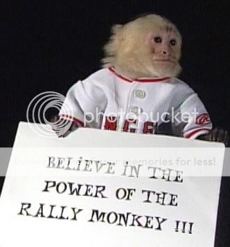 RALLY_MONKEY.jpg