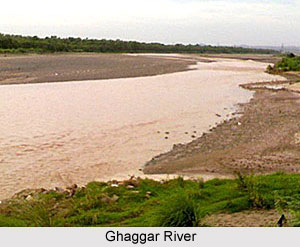 Ghaggar_River.jpg