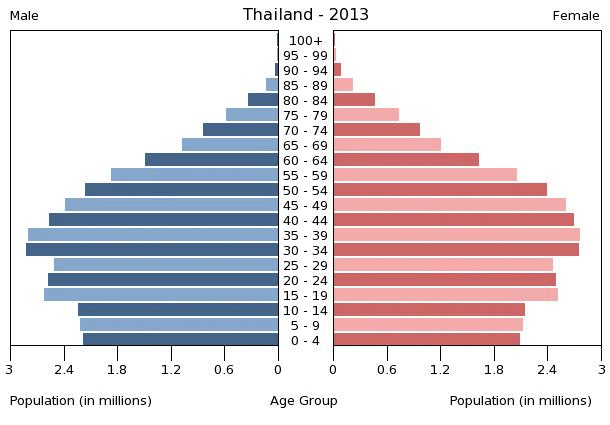 thailand-population-pyramid-2013.gif