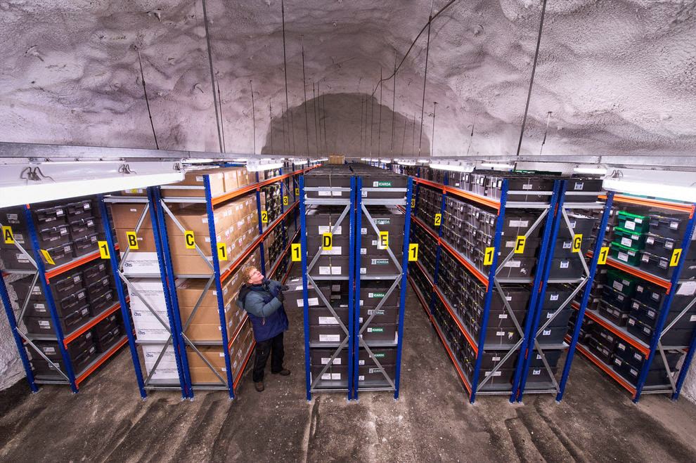Vault%203.jpg