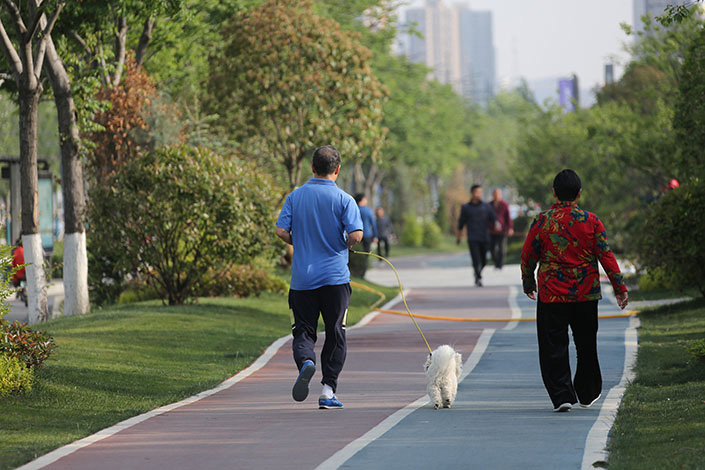 A pedestrian walks a dog on May 2 at a park of Zhengzhou, Central China’s Henan province. Photo: VCG