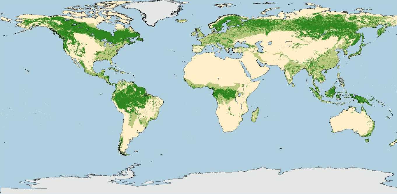 forest_map.jpg