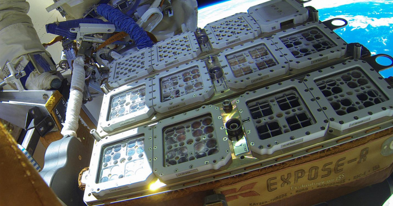 organisms-outside-space-station-768x403.png