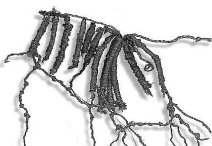 The-Quipu-of-Caral.jpg