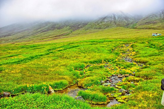 deosai-national-park.jpg