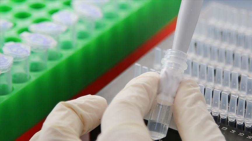 Russia claims US did experiments with bat coronavirus samples in biolabs in Ukraine