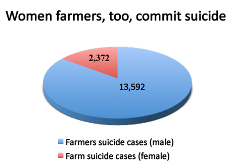 women%20farmer%20pie%20graph.jpg