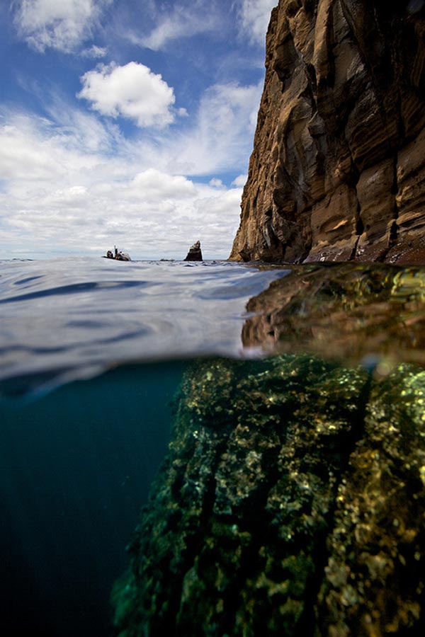 Split-View-Galapagos-Islands.jpg