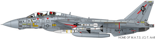 f14-squadron-vf041-02.jpg