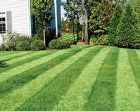 striped-pattern-lawn.jpg