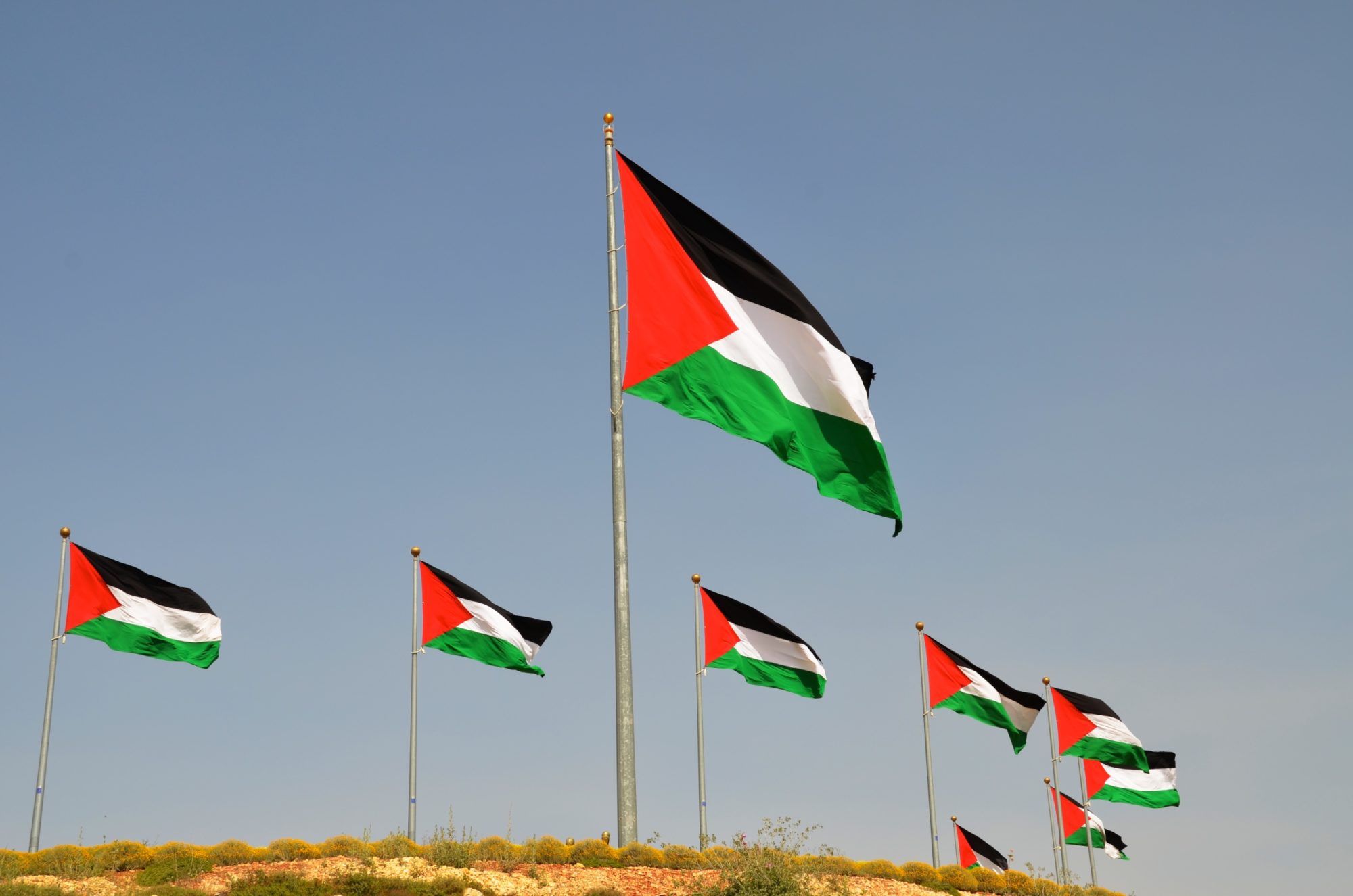 Palestine-Flags-e1510930510914.jpg