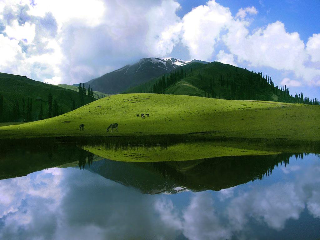 sheosar-lake-deosai-plains.jpg