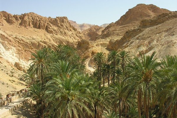 Chebika-Oasis-in-Tunisia_Beautiful-landscape_1017.jpg