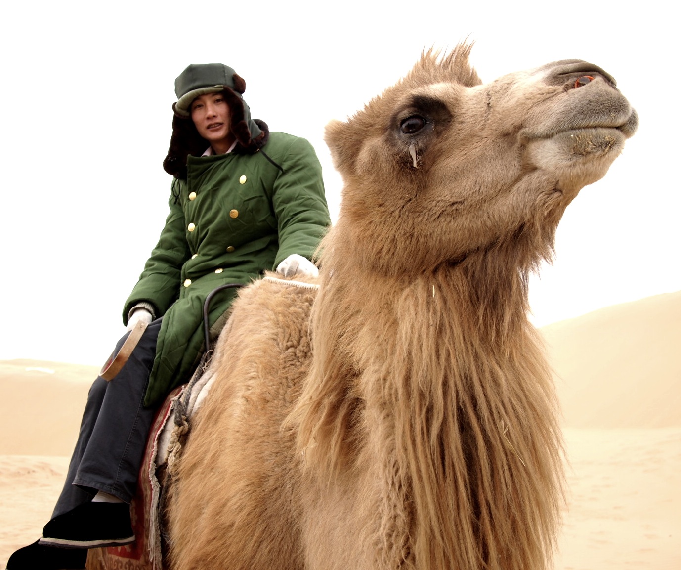 portrait-of-chinese-military-man-on-camel.jpg