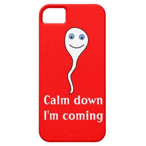 calm_down_im_coming_iphone_5_cover-r5941590004b64c4ba36ce81088f84f43_80cs8_8byvr_512.jpg
