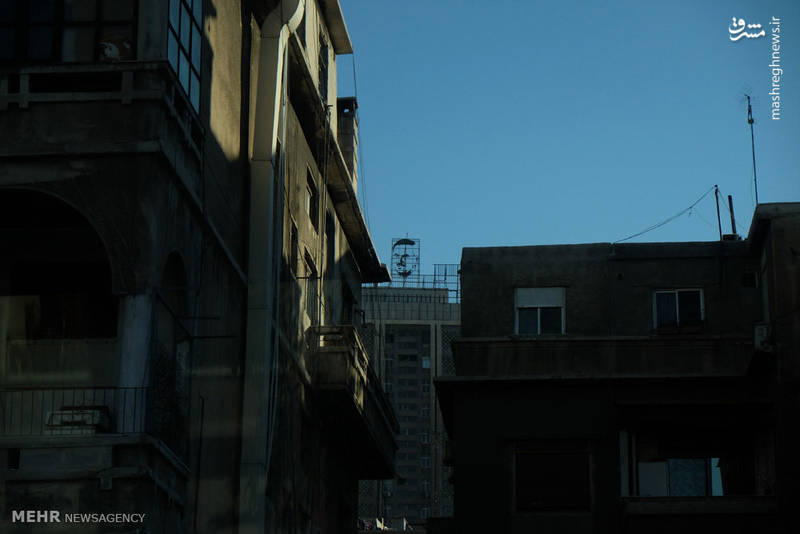 1991039.jpg
