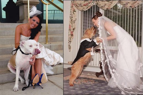 Marrying-with-Animals.jpg