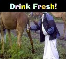 CamelPissScam-DrinkFresh.png