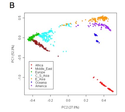 li09pca.jpg