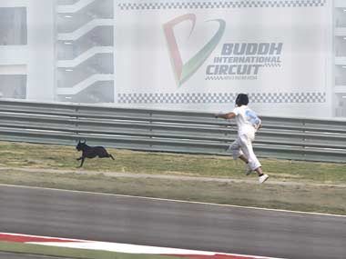 F1-dog-reuters.jpg