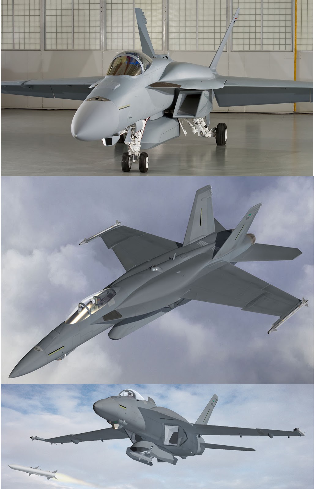 Super+Hornet+equipped+with+belly-mounted+IRST+sensor+and+enclosed+weapons-carriage+pod%252C+plus+overwing+conformal+fuel+tanks.jpg