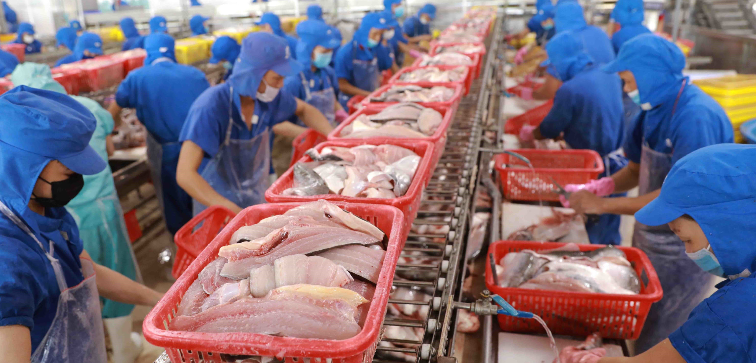 cc Processing catfish for export in Dong Thap province (Credit: VNA)., modified