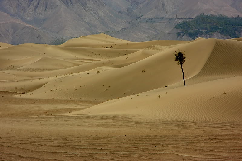Desert-Skardu-Pakistan.jpg