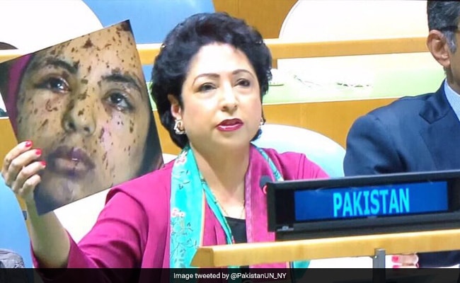 maleeha-lodhi_650x400_81506252456.jpg