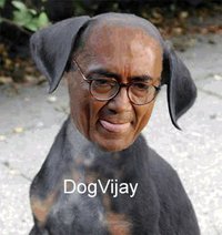 Dogvijay.jpg