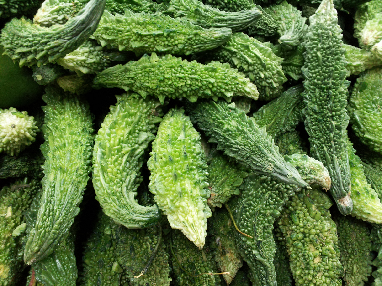 Karela.png