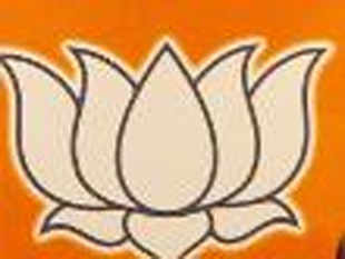 bjp-puts-off-release-of-india-vision-2025-document-until-after-lok-sabha-polls.jpg