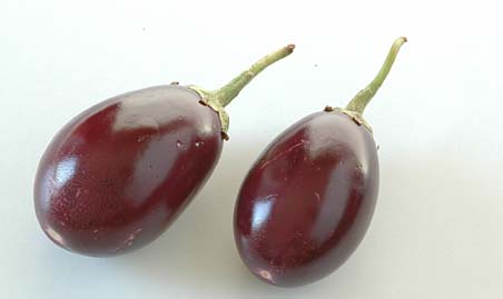 Indian%20brinjal-Image%20copyrighted.jpg