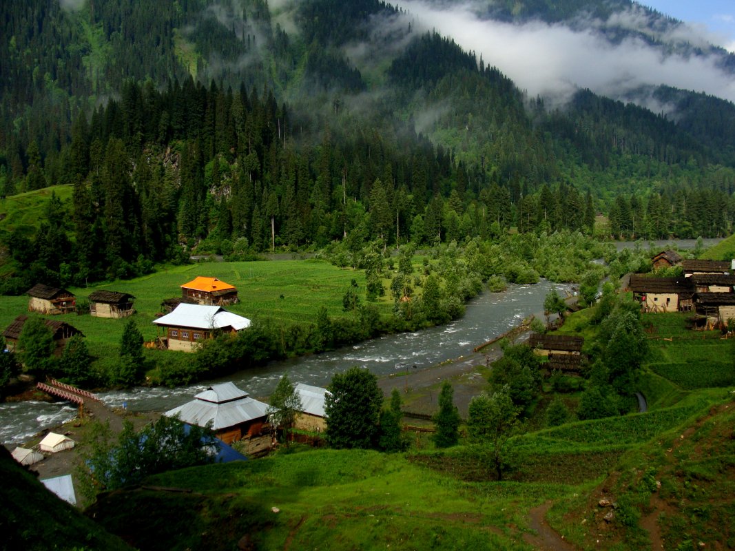 217631-taubut-neelum-valley-dsc00760.jpg