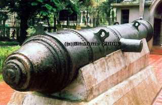 cannon-2.jpg