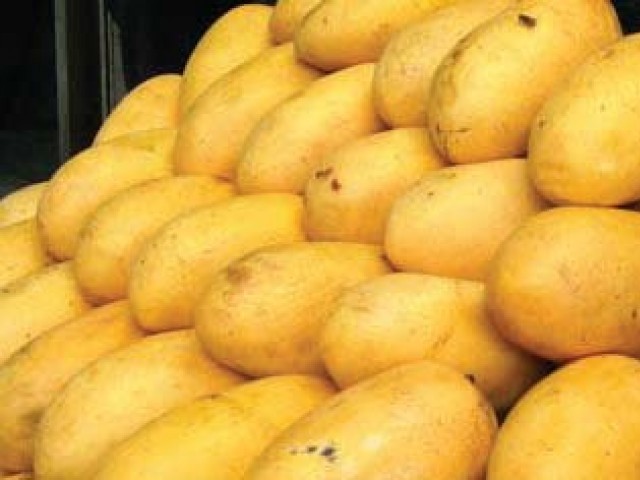 376467-Mango-1336602962-542-640x480.jpg