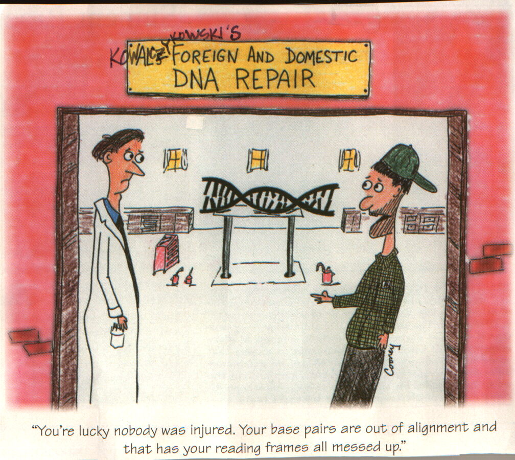 DNA%20repair%20cartoon.jpg