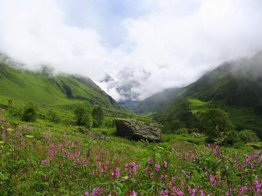 Valley_of_flowers_uttaranchal_full_view.JPG