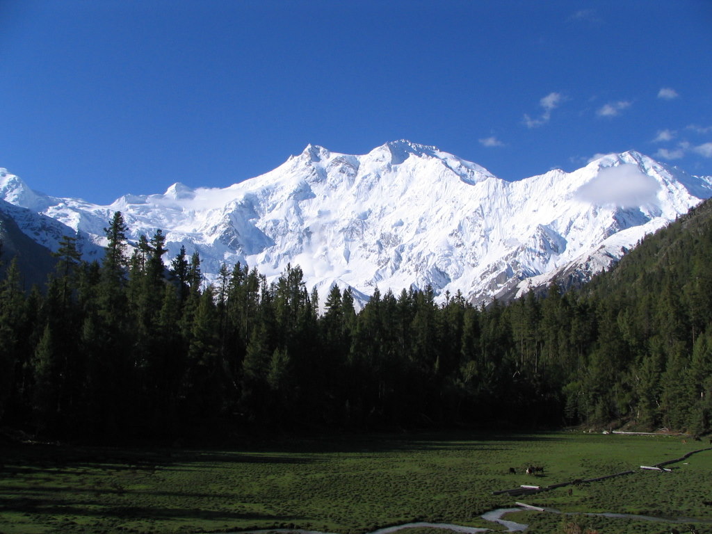 Nanga_parbat.jpg