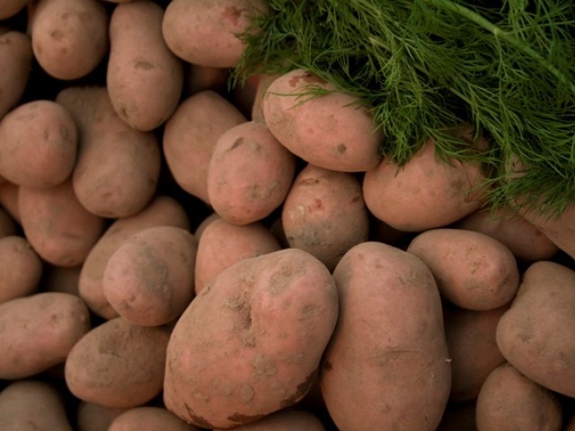 389951-potatoes-1339027290-863-640x480.jpg