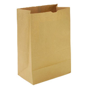 Paper-Shopping-Bag.jpg