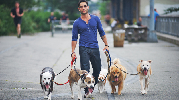guy_with_dogs.jpg
