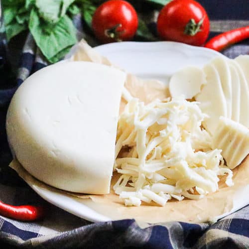 Extra-New-Vegan-Mozzarella-5-500x500.jpg